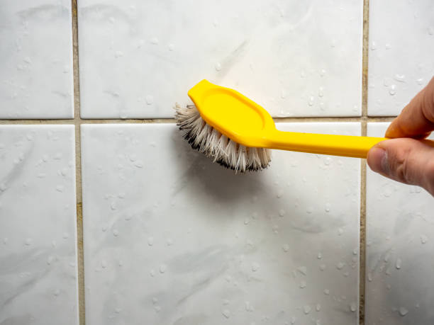 Best Water Damage Restoration  in Mckinleyville, CA