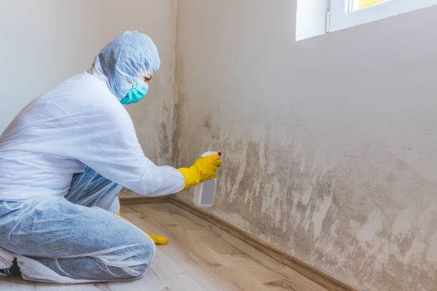 Best Professional Mold Removal  in Mckinleyville, CA