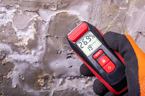 Best Mold Removal Near Me  in Mckinleyville, CA