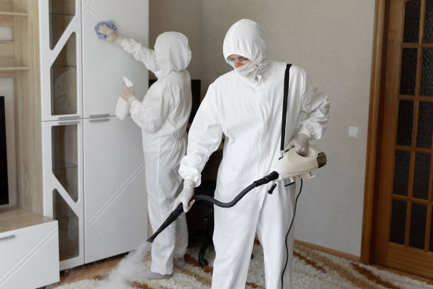 Best Mold Removal Company Near Me  in Mckinleyville, CA