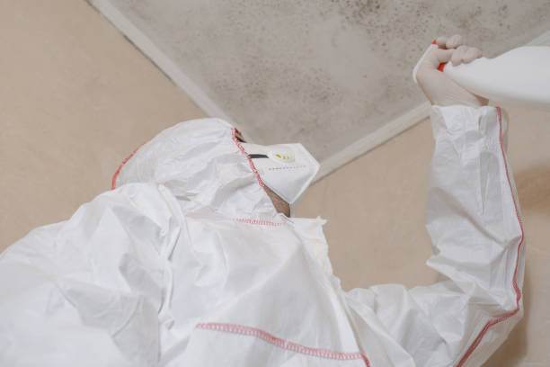 Best Mold Cleaning Services  in Mckinleyville, CA