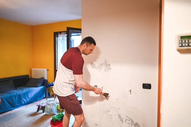 Best Crawl Space Mold Removal  in Mckinleyville, CA