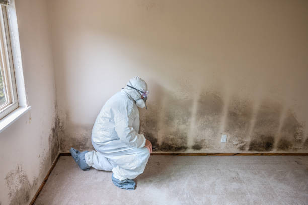 Best Mold Testing  in Mckinleyville, CA