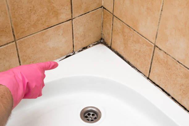 Best Commercial Mold Removal  in Mckinleyville, CA